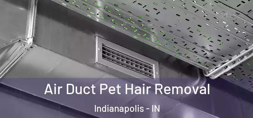 Air Duct Pet Hair Removal Indianapolis - IN