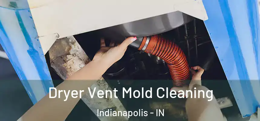 Dryer Vent Mold Cleaning Indianapolis - IN
