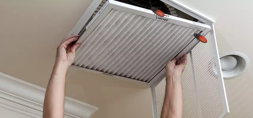 Preventive Cockroach-Proofing for Ducts in Indianapolis