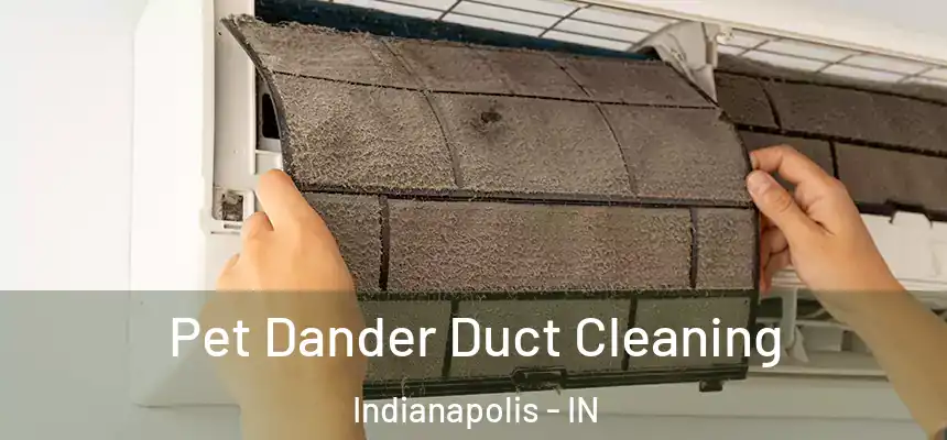 Pet Dander Duct Cleaning Indianapolis - IN