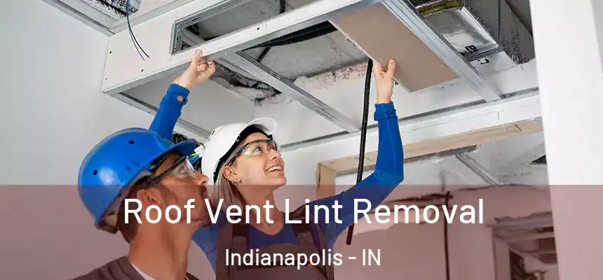 Roof Vent Lint Removal Indianapolis - IN