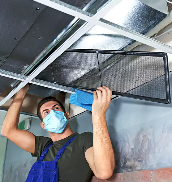 About Air Duct Bacteria Removal in Indianapolis