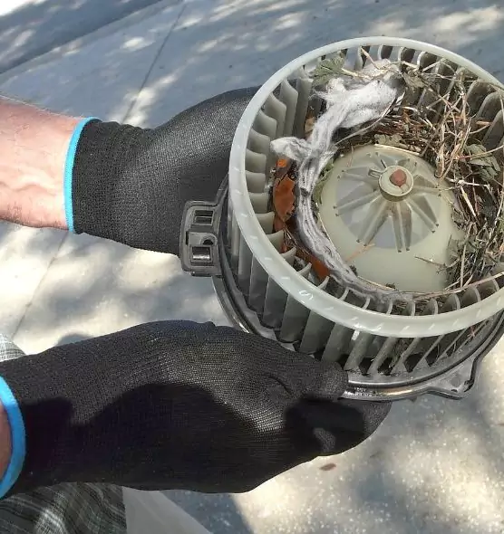 About Air Duct Mice Removal in Indianapolis, IN