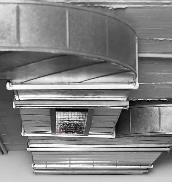 Professional Air Duct Pet Hair Removal in Indianapolis, IN