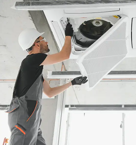 About Air Duct Rodent Removal in Indianapolis, IN