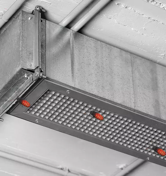 Affordable Insect Removal from Air Ducts in Indianapolis, IN