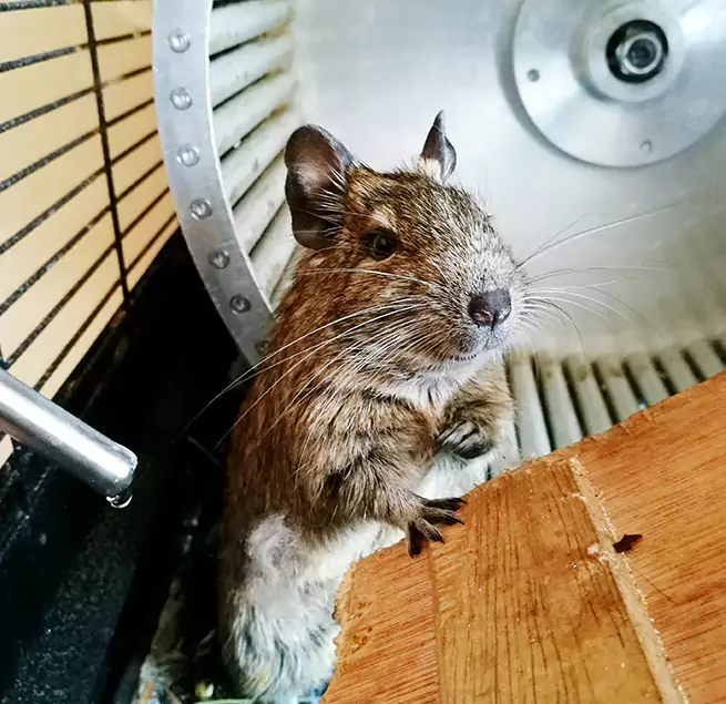 Why Homeowners & Businesses Trust Us Indianapolis, IN